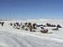 Group assembling outside of Nome