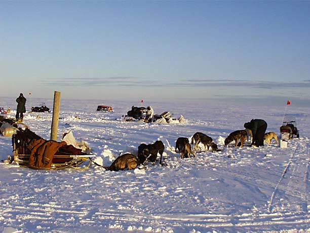 Camping on the open tundra at Safety, Alaska.